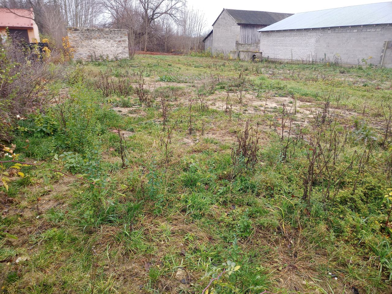 Działka rolno-budowlana Gliniec. Zdjęcie 3