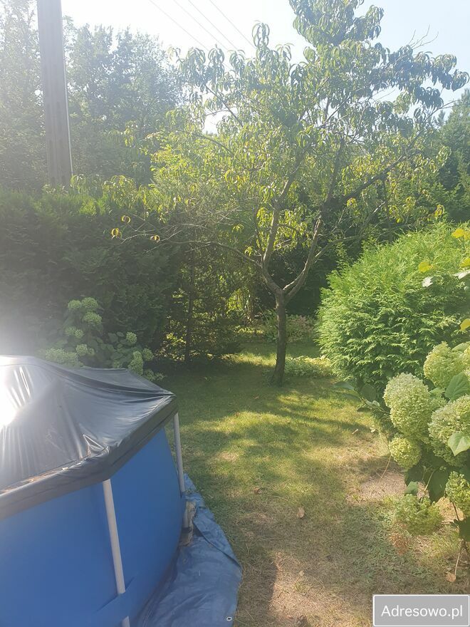 Działka rod Poznań, ul. Pusta. Zdjęcie 10