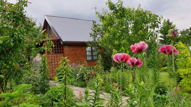 Działka rekreacyjna Ostrołęka. Zdjęcie 1