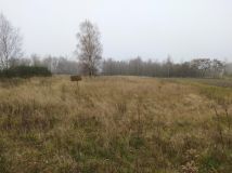 Działka rolno-budowlana Rudka Kozłowiecka. Zdjęcie 1