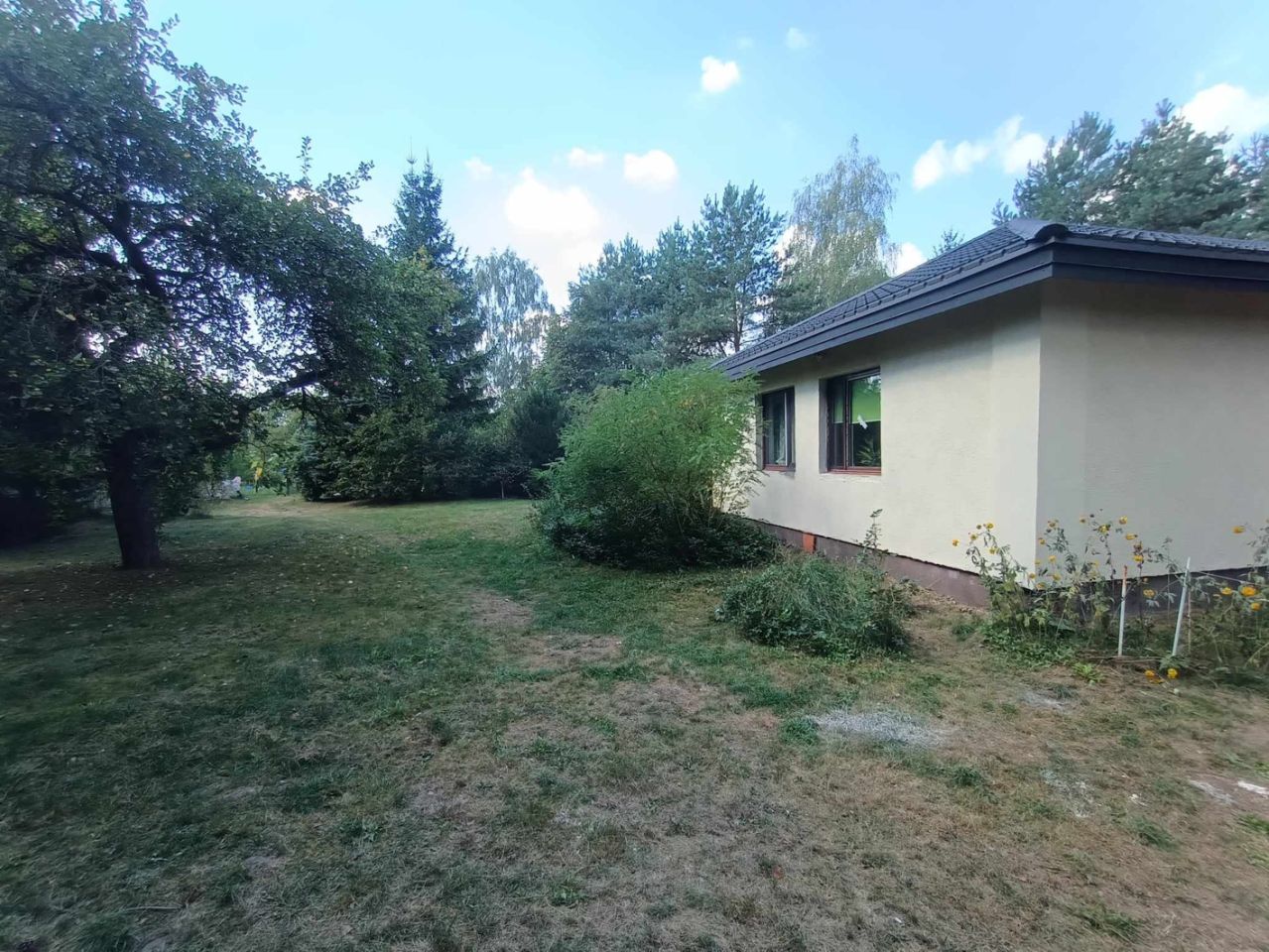 dom wolnostojący, 5 pokoi Budy Michałowskie. Zdjęcie 7