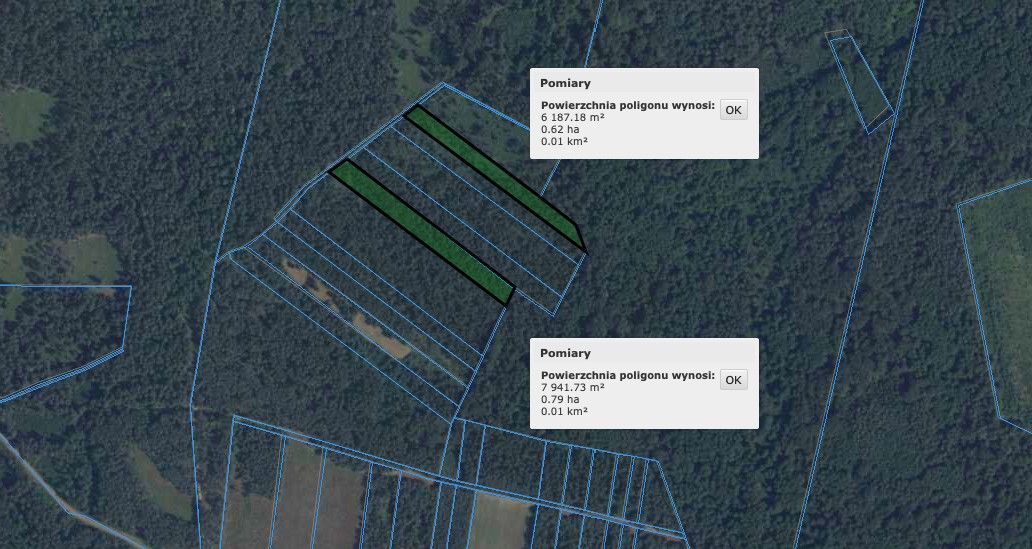 Działka leśna Radruż. Zdjęcie 2