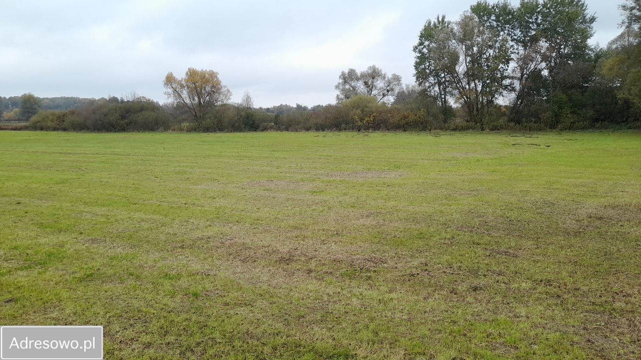 Działka rolna Nowy Secymin. Zdjęcie 8