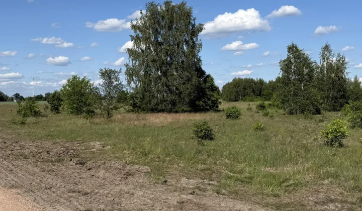 Działka budowlana Wsola, ul. Warszawska