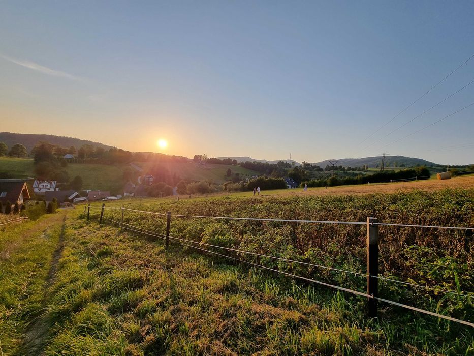 Działka budowlana Złockie. Zdjęcie 5