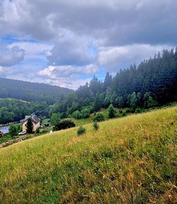 Działka budowlana Nowy Gierałtów. Zdjęcie 8