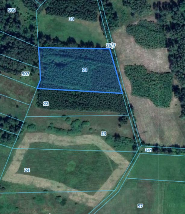 Działka leśna Łętowo. Zdjęcie 3