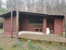 Działka leśna Rokitnica. Zdjęcie 3