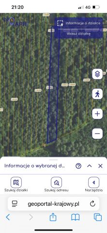 Działka leśna Urzędów, ul. Wodna. Zdjęcie 1