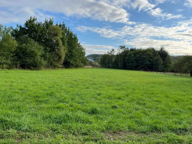 Działka budowlana Kraków Kostrze, ul. Jana Kantego Federowicza. Zdjęcie 1