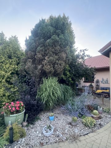 dom wolnostojący, 4 pokoje Huta Żabiowolska, Główna. Zdjęcie 31