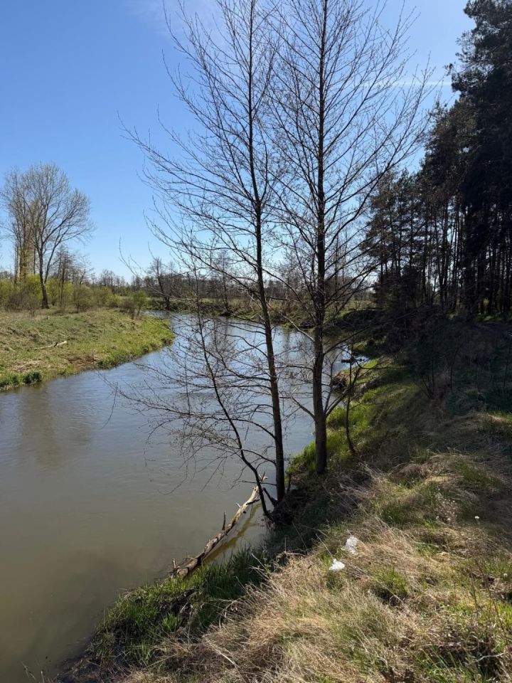 Działka budowlana Sekłak. Zdjęcie 12