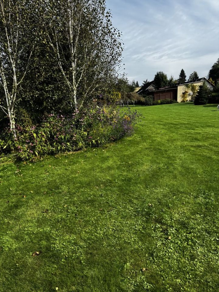 Działka budowlana Górki Wielkie, ul. Szpotawicka. Zdjęcie 5