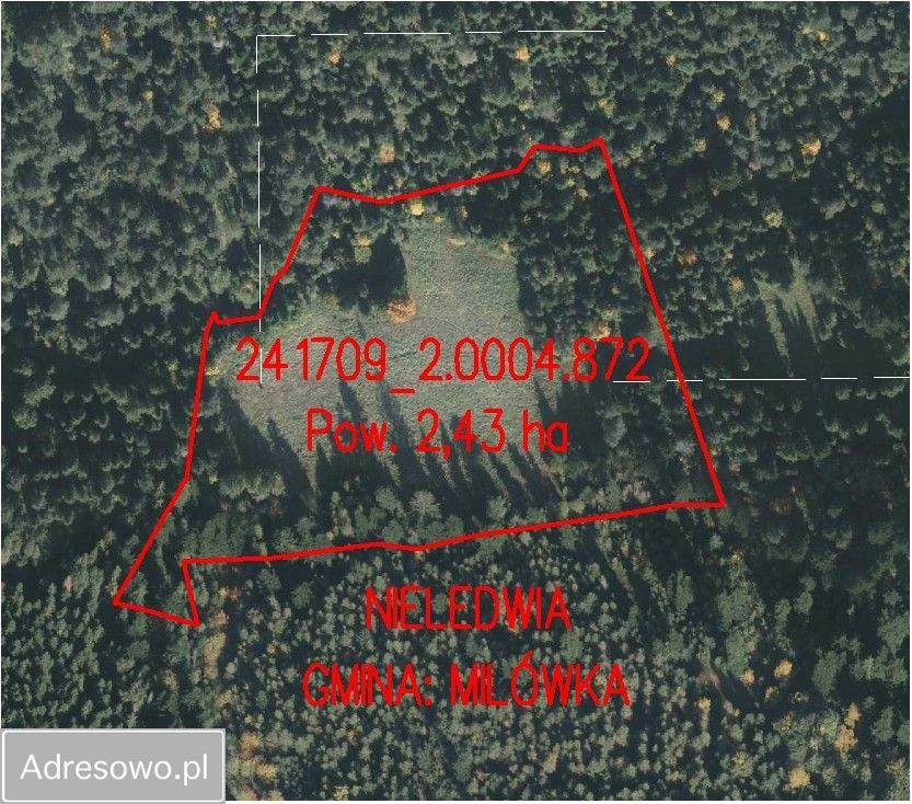 Działka Nieledwia. Zdjęcie 2