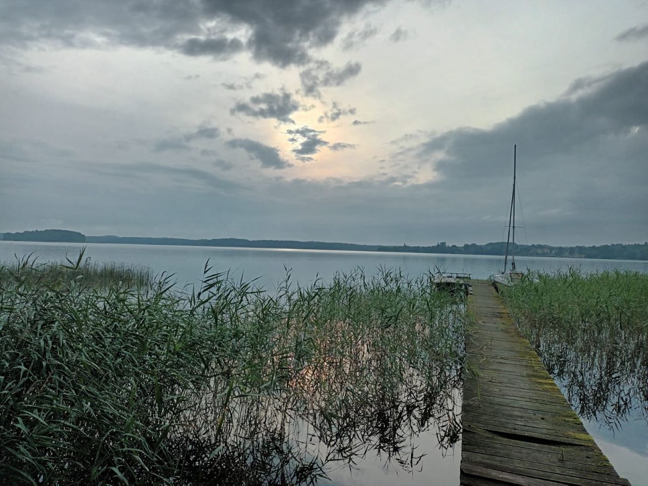 Działka rekreacyjna Silnowo, ul. Leszczynowa. Zdjęcie 9