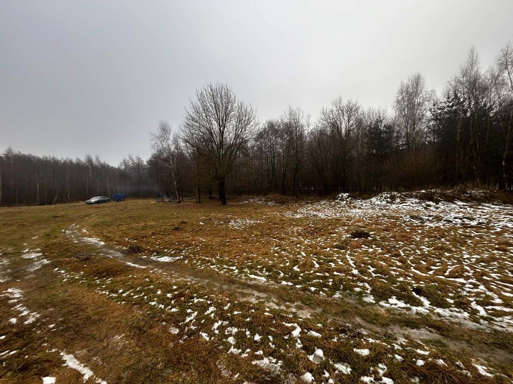 Działka rolna Michalinów. Zdjęcie 6