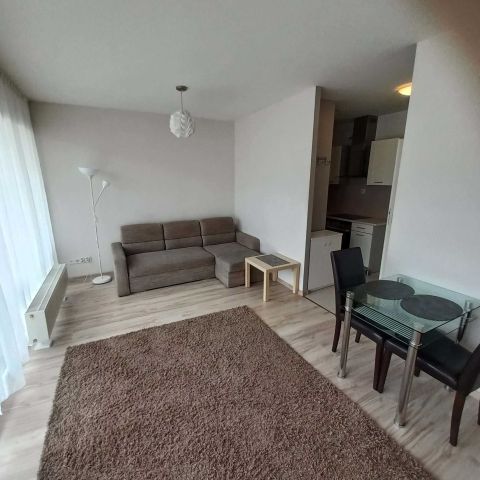 Mieszkanie 1-pokojowe Poznań Wilda, ul. Romualda Traugutta. Zdjęcie 1