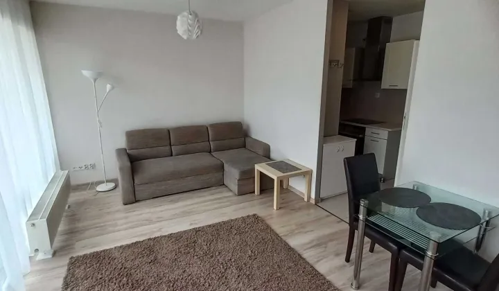 Mieszkanie 1-pokojowe Poznań Wilda, ul. Romualda Traugutta