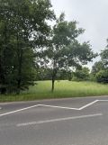 Działka budowlana Pieńsk. Zdjęcie 2