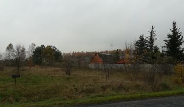 Działka rolno-budowlana Wysocko. Zdjęcie 1