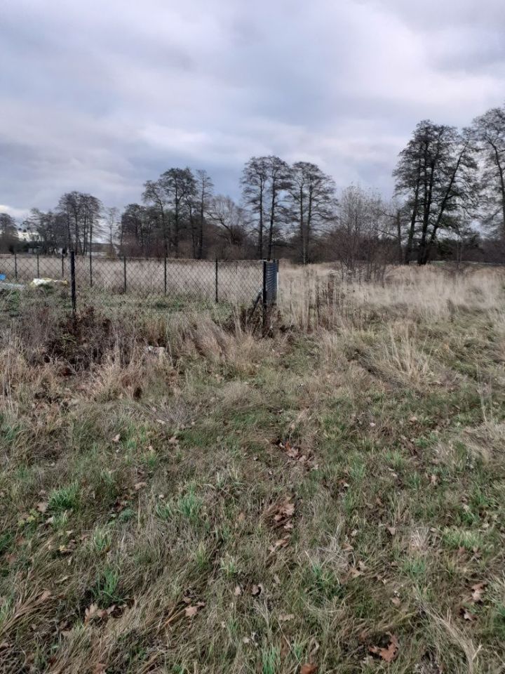 Działka budowlana Wołów Krzywy Wołów. Zdjęcie 4