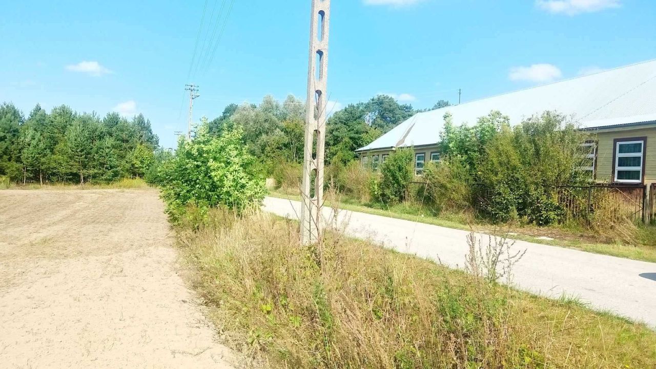 Działka rolna Chojno Nowe Pierwsze. Zdjęcie 5