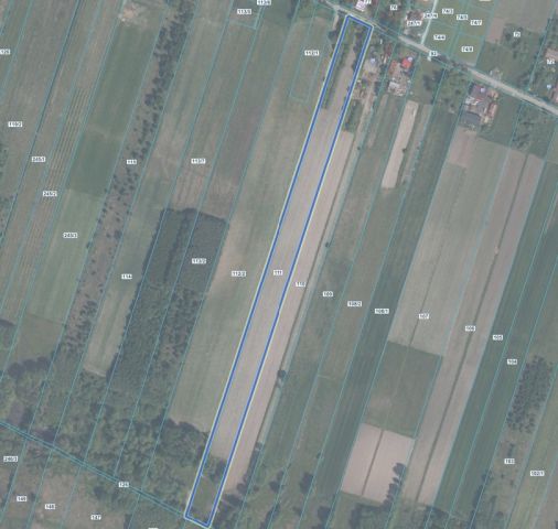 Działka Aleksandria. Zdjęcie 3