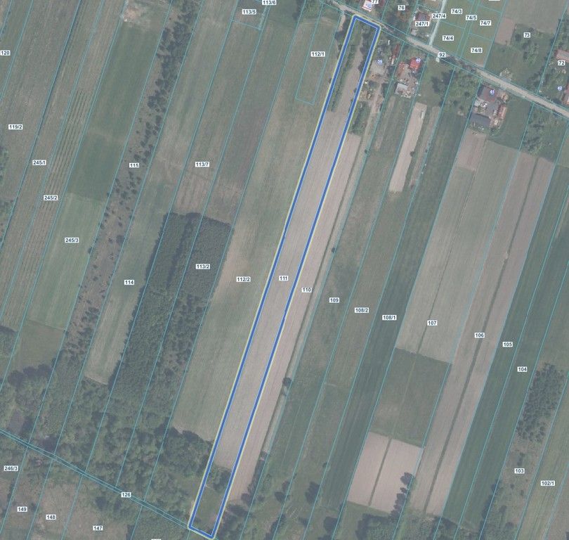 Działka Aleksandria. Zdjęcie 3