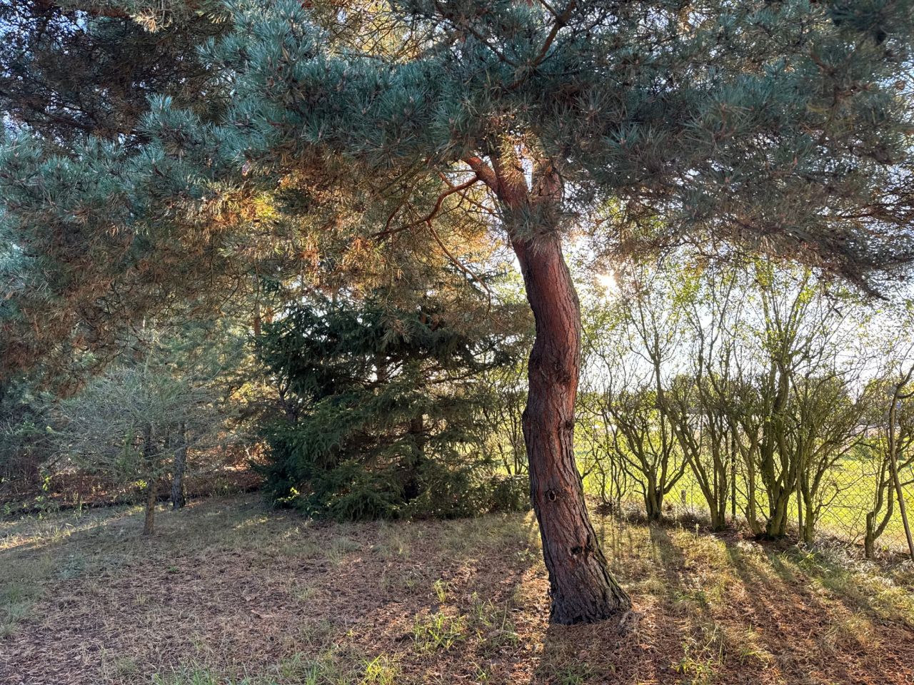 dom letniskowy, 3 pokoje Goreń Duży, ul. Jeżynowa. Zdjęcie 7