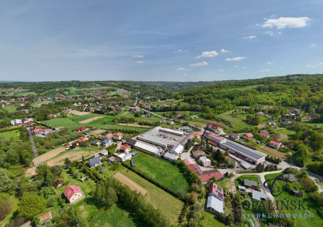 Lokal Lubenia. Zdjęcie 15