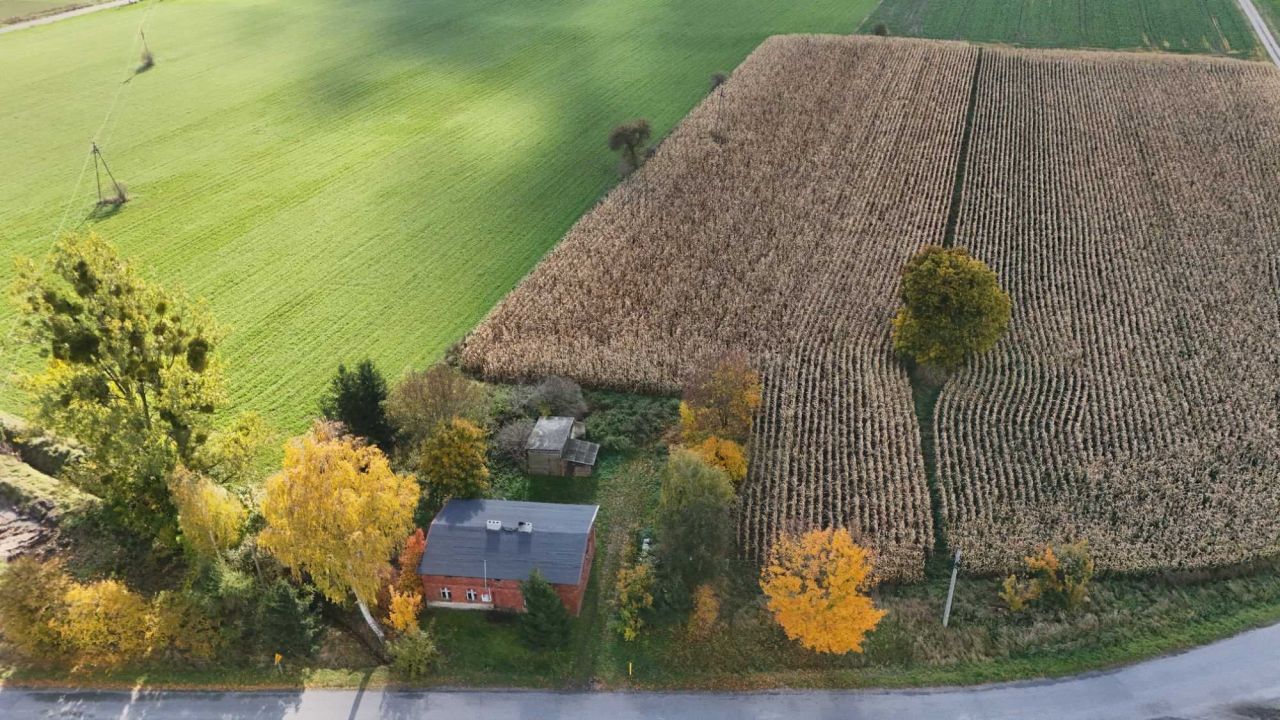 siedlisko Łobdowo. Zdjęcie 2