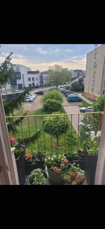 Mieszkanie 2-pokojowe Wyszków, ul. 1 Maja. Zdjęcie 2