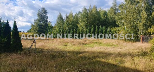 dom wolnostojący, 4 pokoje Zaduszniki. Zdjęcie 9