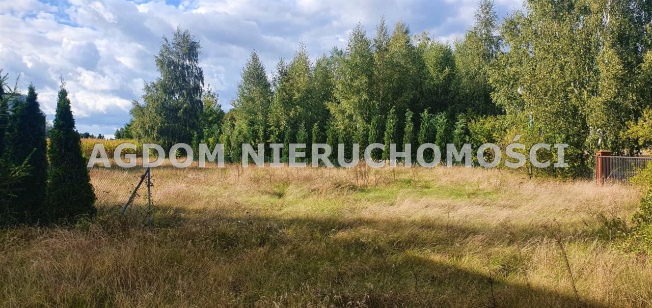 dom wolnostojący, 4 pokoje Zaduszniki. Zdjęcie 9