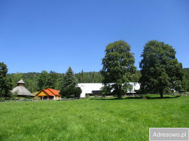 Hotel/pensjonat Rabe. Zdjęcie 13