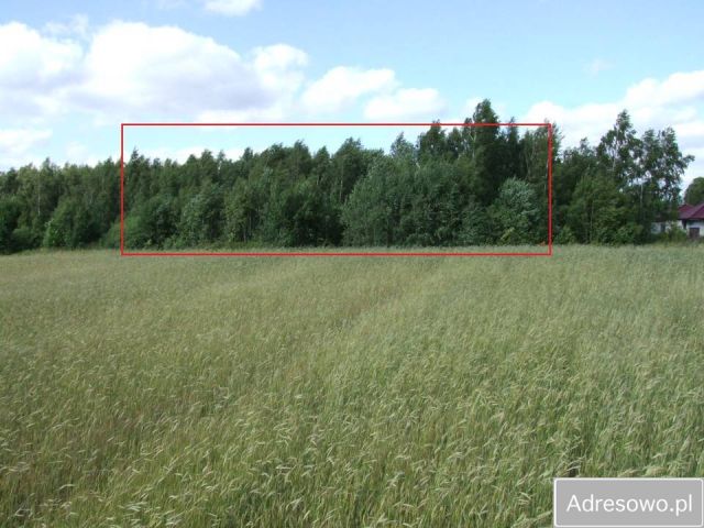 Działka rolno-budowlana Mirowo Duże. Zdjęcie 1