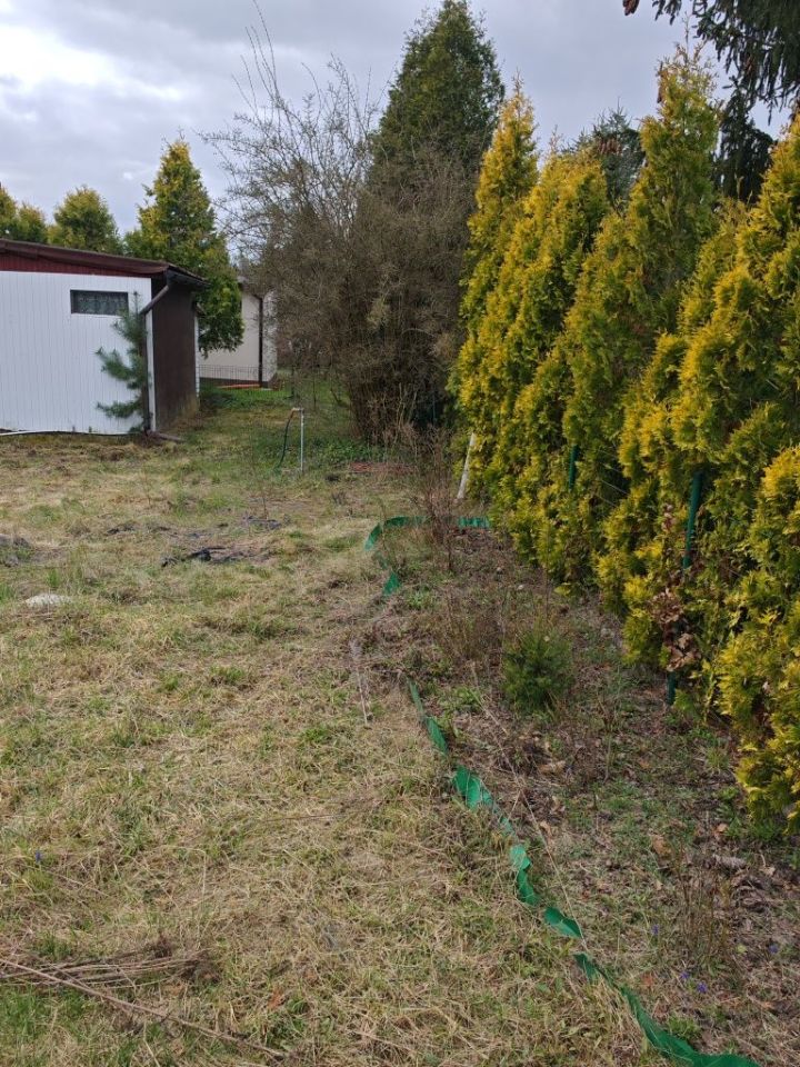 Działka rod Chludowo. Zdjęcie 3