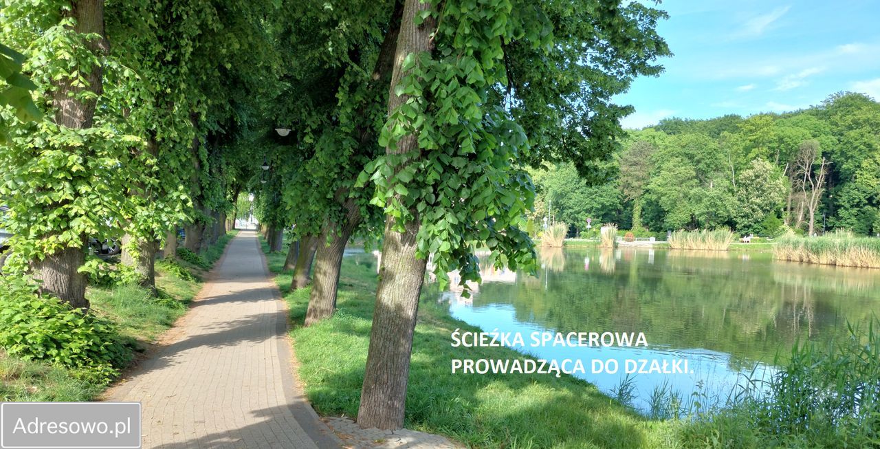 Działka inwestycyjna Trzebnica, ul. Leśna. Zdjęcie 7