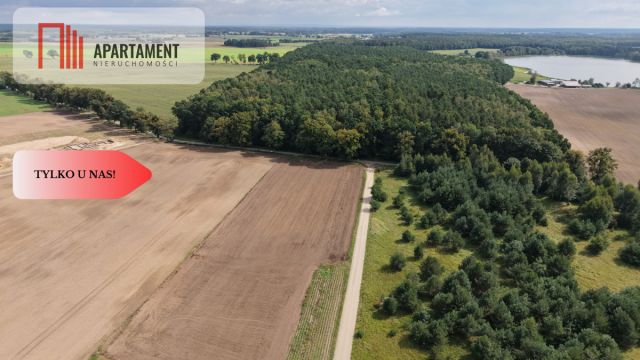 Działka rolna Grabowiec. Zdjęcie 5