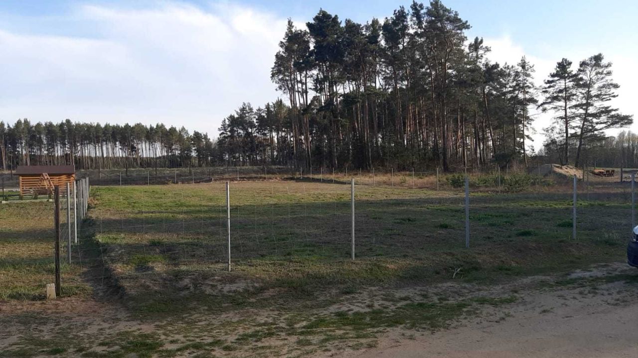 Działka rolno-budowlana Borowy Młyn. Zdjęcie 2