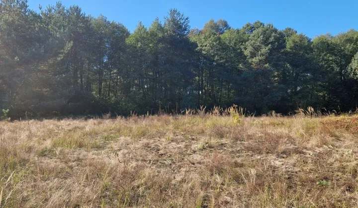 Działka budowlana Myszków, ul. Jedwabna