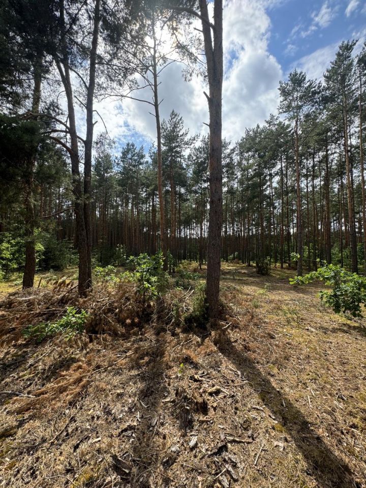 Działka rekreacyjna Przeradowo. Zdjęcie 11