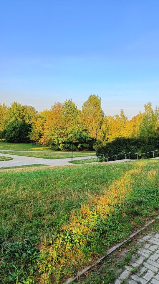 Pokój Warszawa Żoliborz, ul. Krechowiecka. Zdjęcie 15