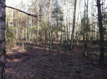 Działka rolno-budowlana Jaszczułty. Zdjęcie 3