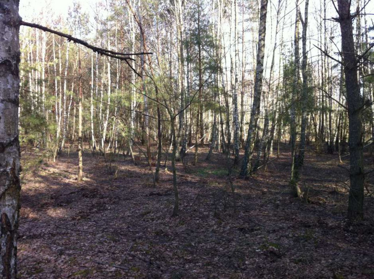 Działka rolno-budowlana Jaszczułty. Zdjęcie 4