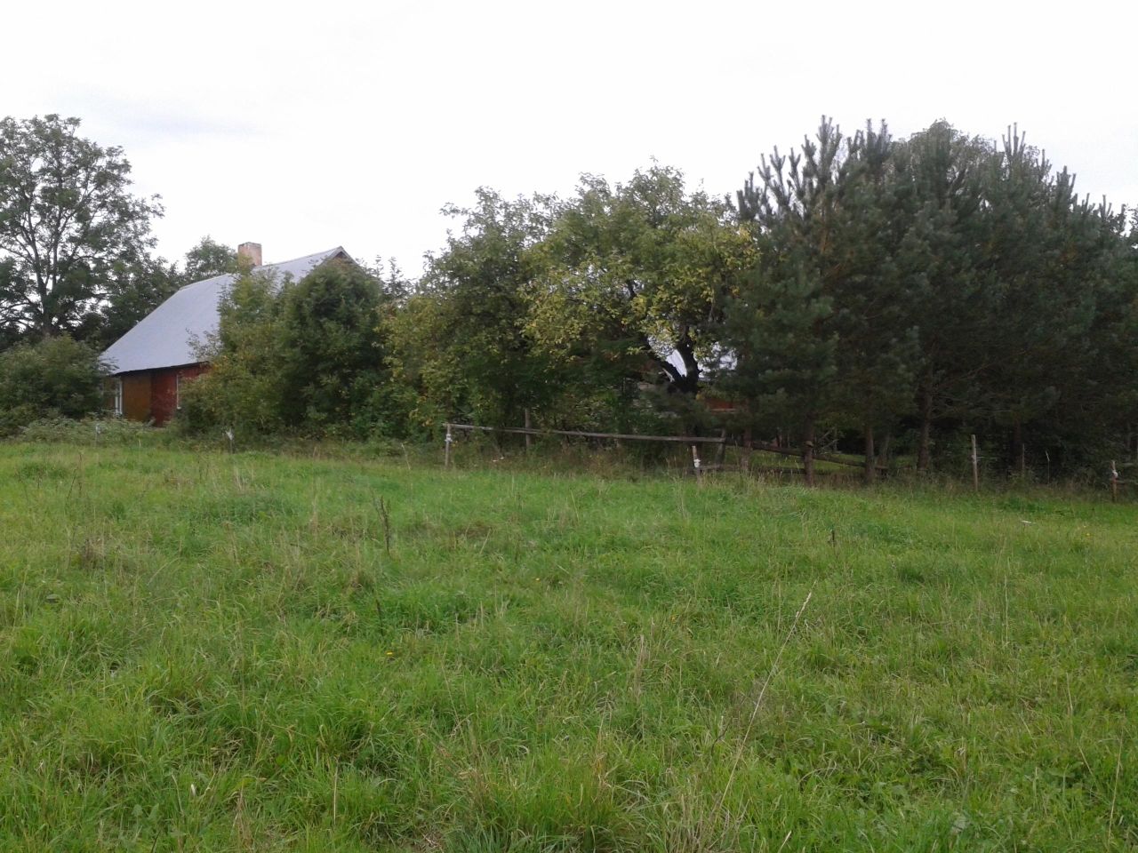 Działka inna Wólka, Wólka. Zdjęcie 2