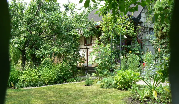 Działka rod Łódź Widzew, ul. Pomorska