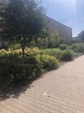 Mieszkanie 2-pokojowe Szczecin Pomorzany, ul. Włościańska. Zdjęcie 3