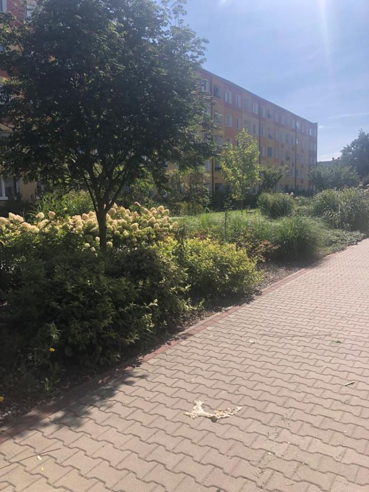 Mieszkanie 2-pokojowe Szczecin Pomorzany, ul. Włościańska. Zdjęcie 4