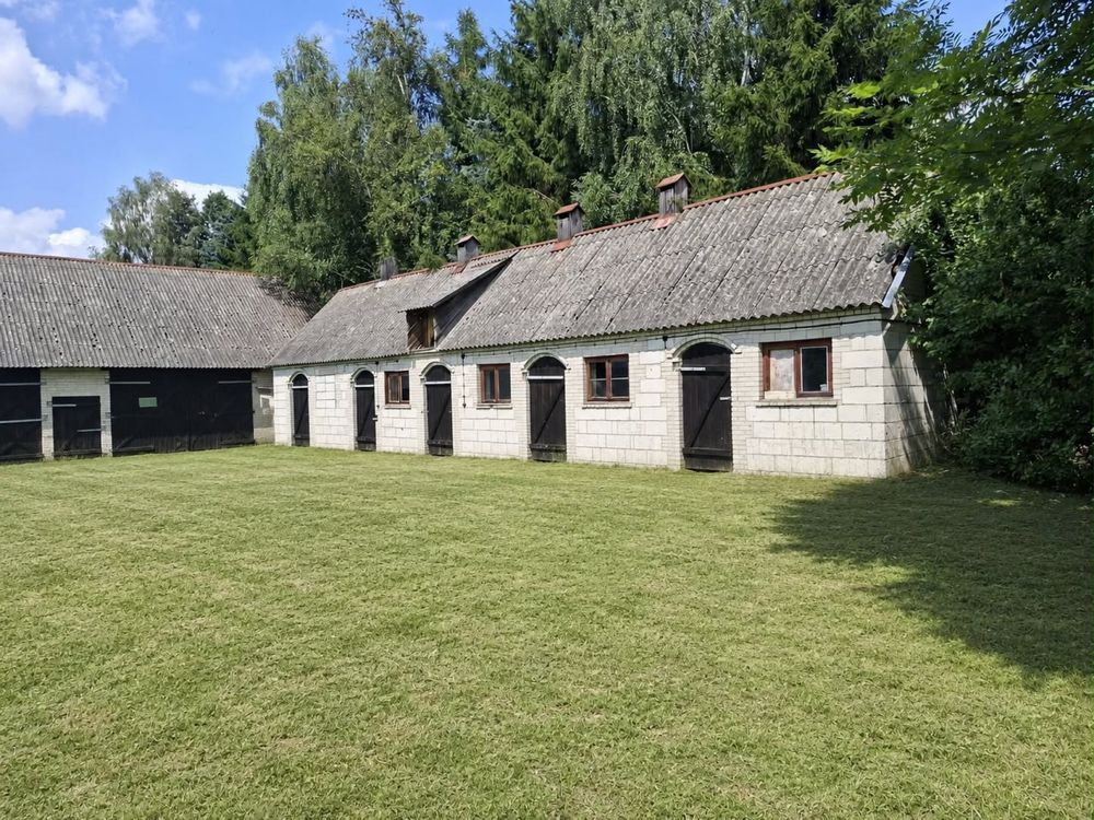 Działka rolna Lachowo. Zdjęcie 4